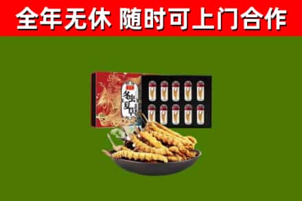 彰化县回收冬虫夏草价格
